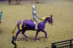 Quadrille - 00453